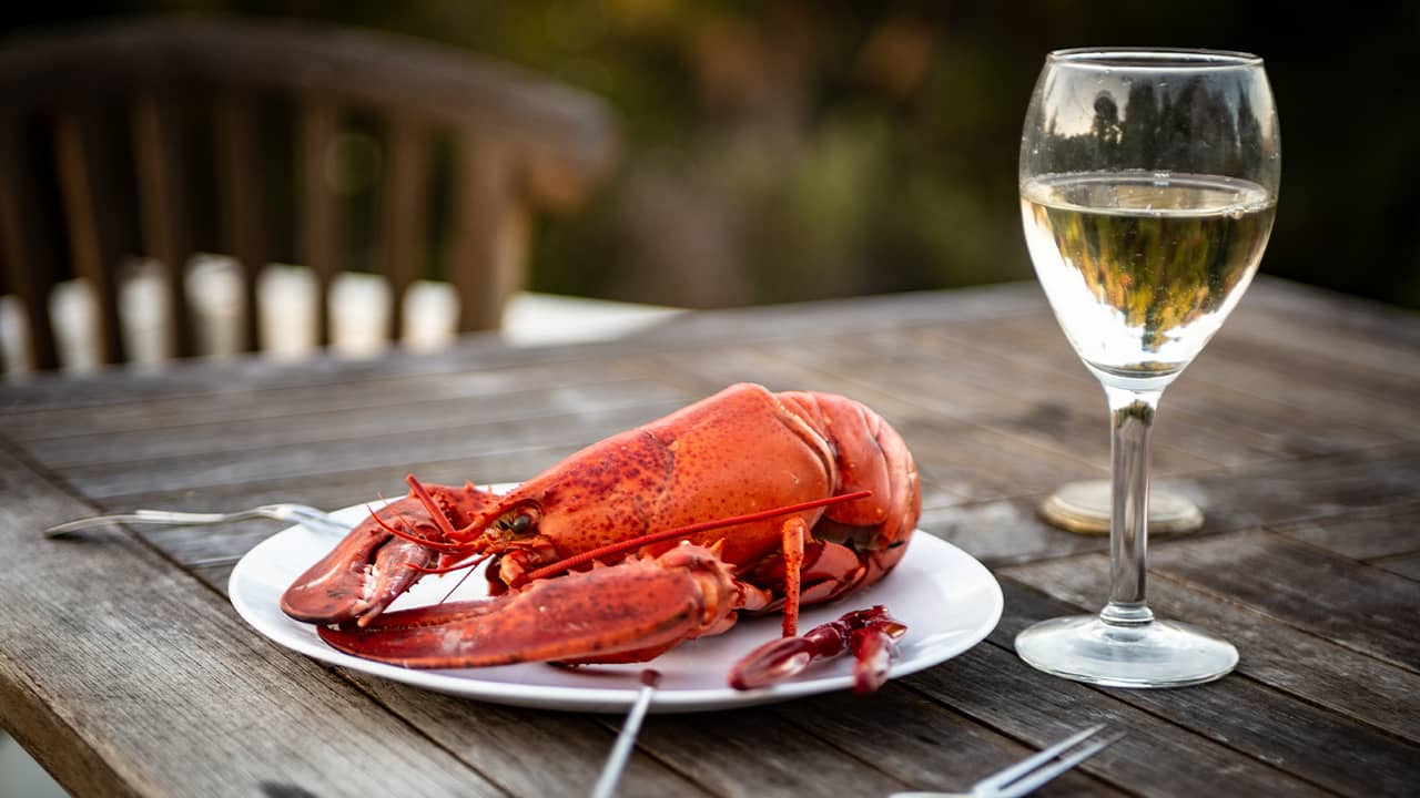 Photo of lobster and wine on a table