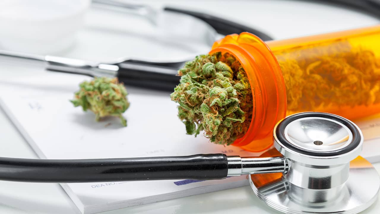 Photo of stethoscope and marijuana