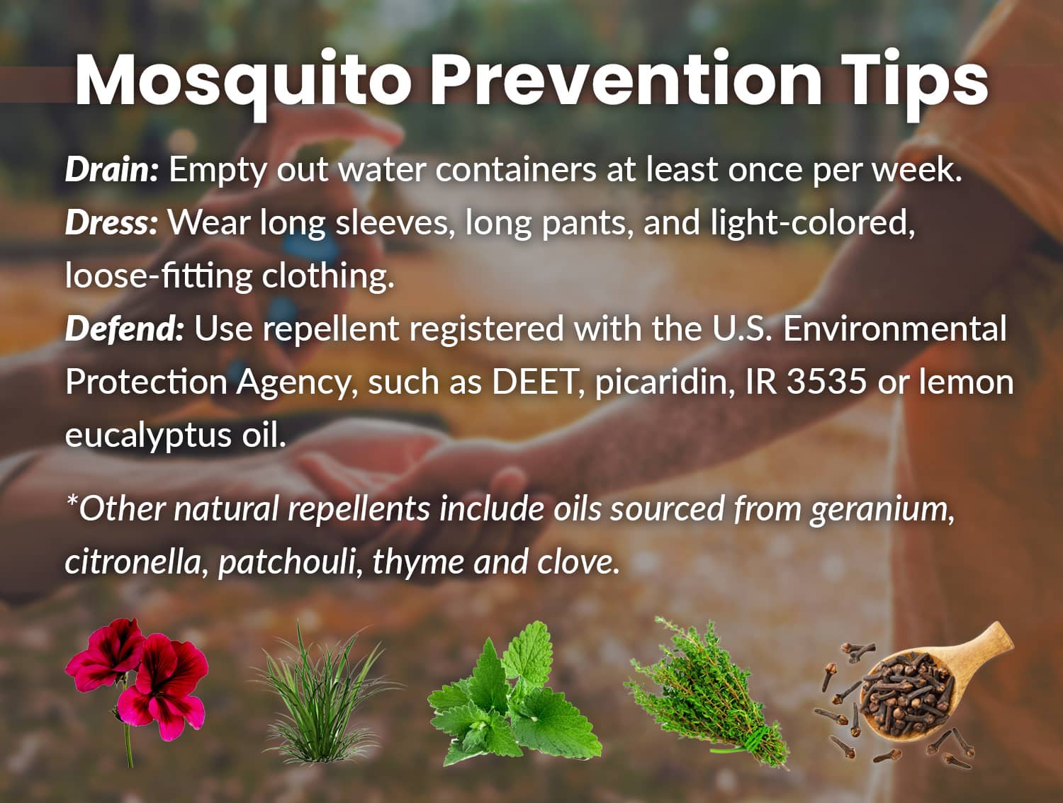 Graphic of mosquito prevention tips