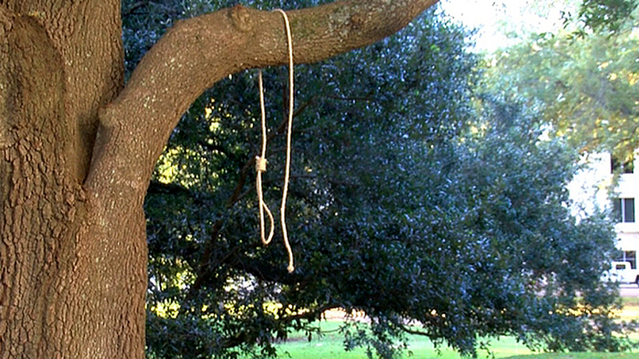 Photo of noose hanging from a tree