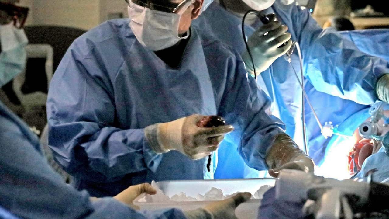 Photo of a transplant surgeon