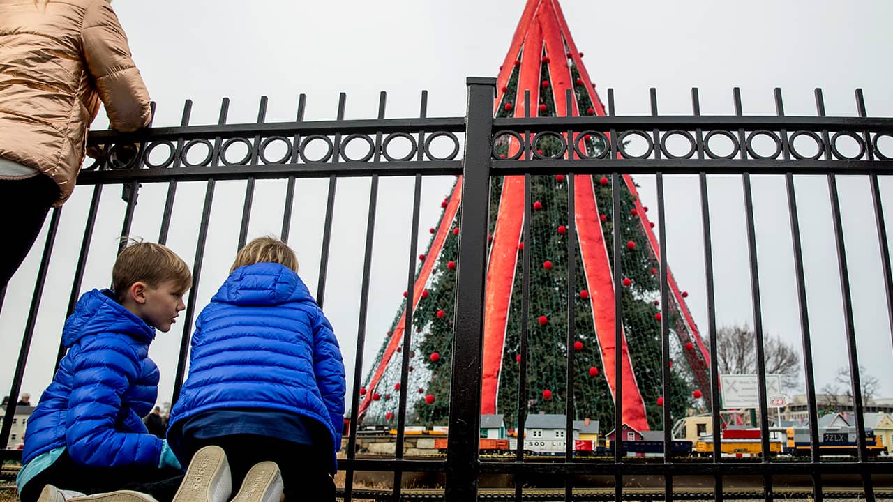 Photo of two boys visiting the National Christmas Tree at the White House