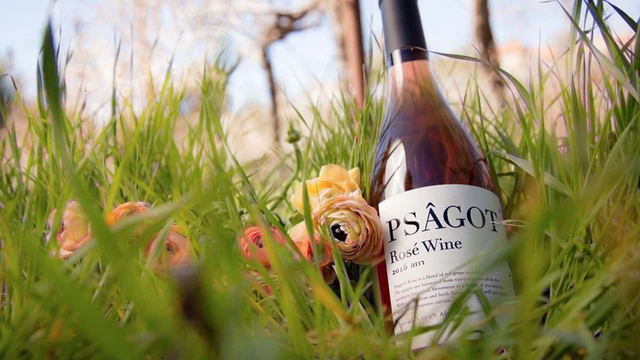 Photo of Psagot wine bottle
