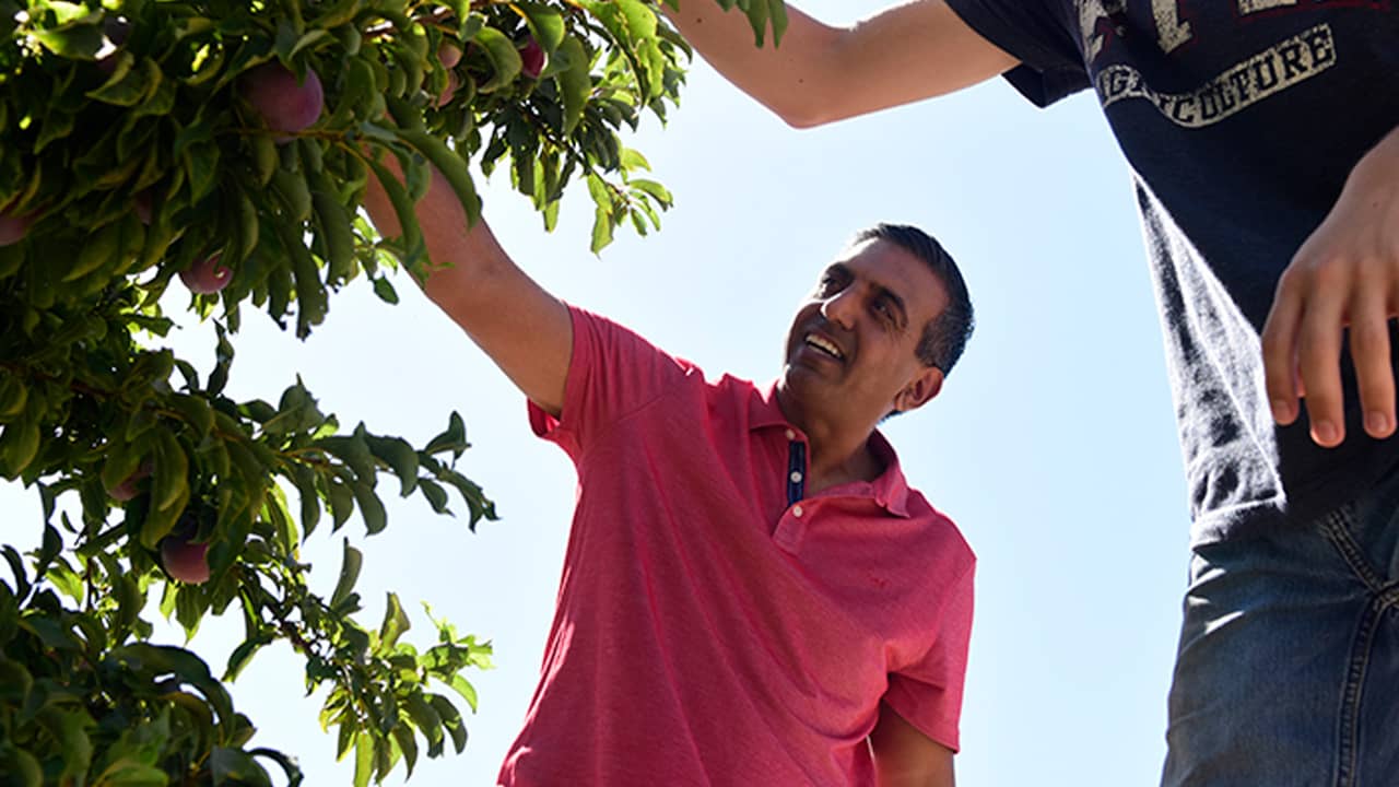 Photo of Bill Purewal in an orchard