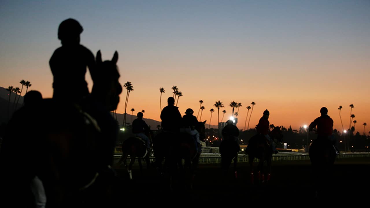 Photo of riders and horses at sunset