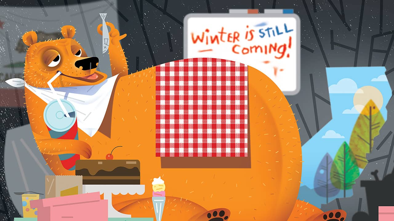 Photo of fat bear illustration