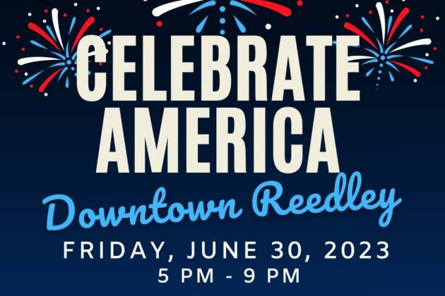 reedleu fireworks poster