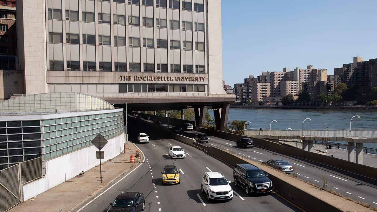 Photo of people walking around Oxford University's campus