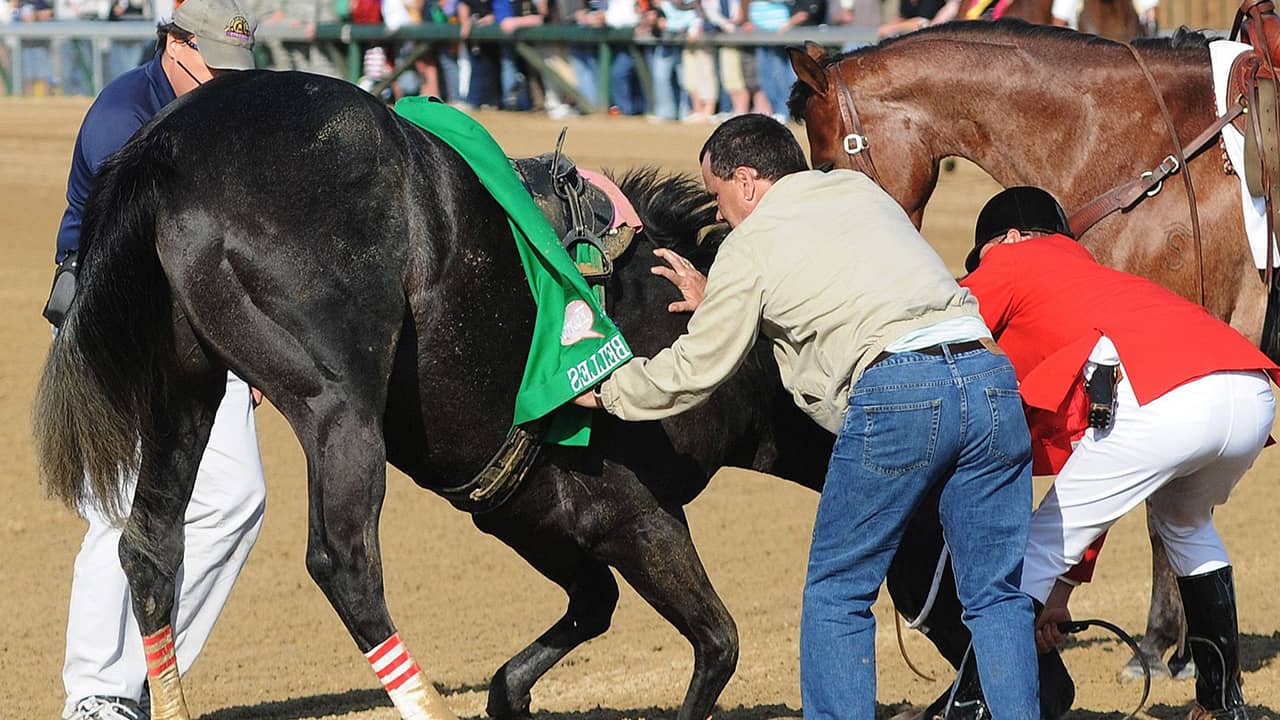 Photo of track personnel trying to hold down a horse after the Kentucky Derby in 2008.