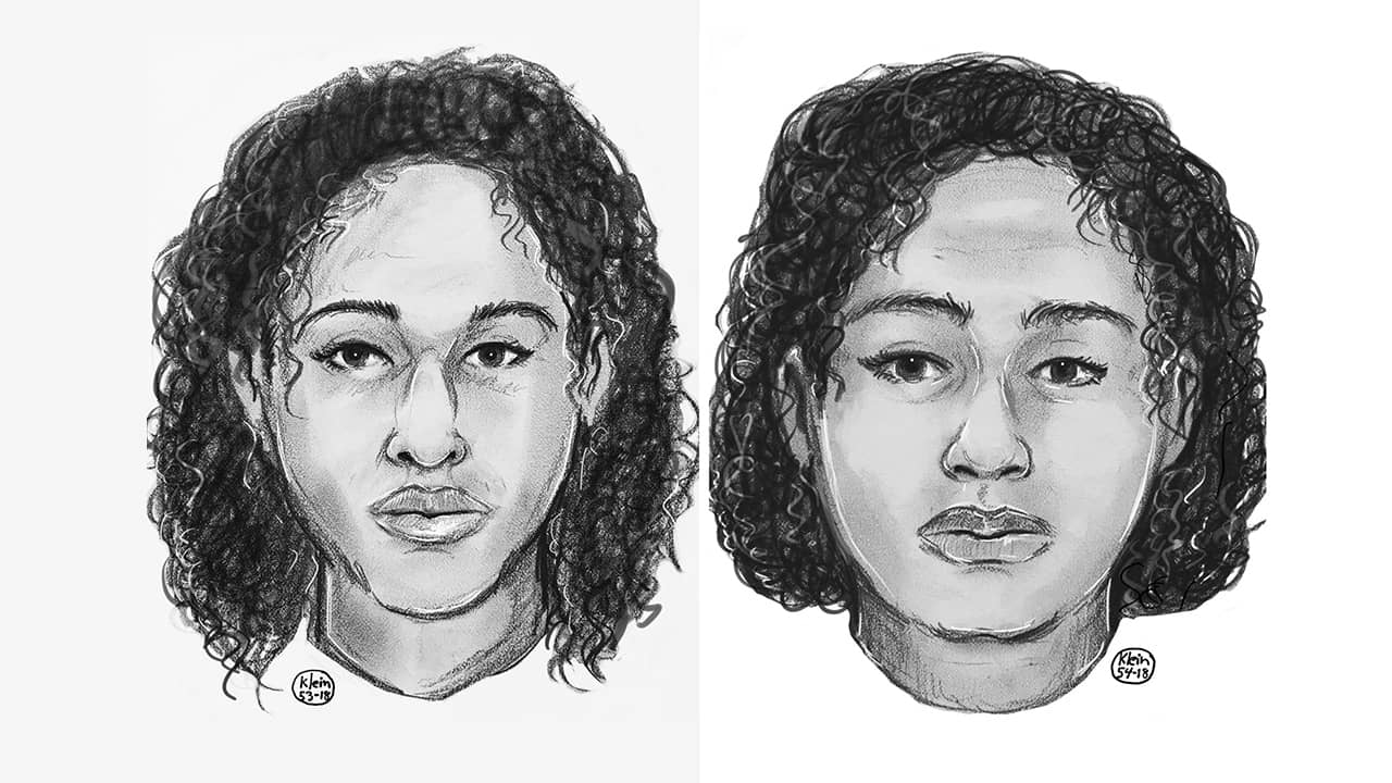 Police sketch of sisters Rotana, left and Tala Farea