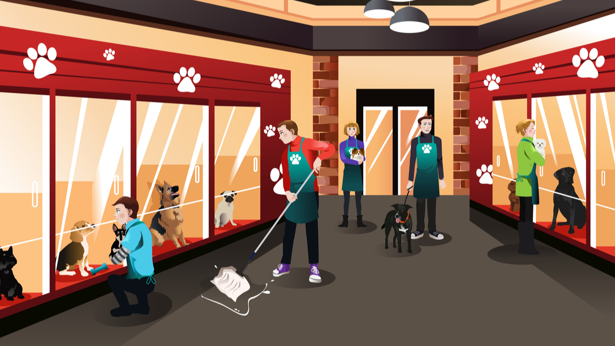 Vector illustration of a modern animal shelter