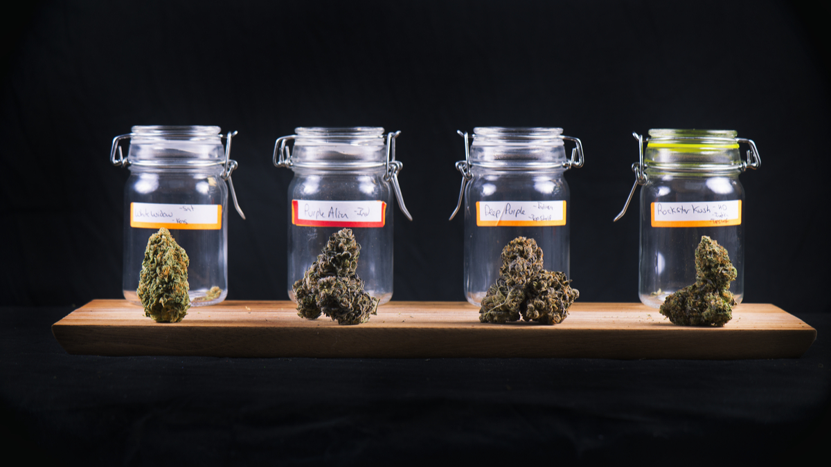 Assorted cannabis bud strains and glass jars isolated on black background