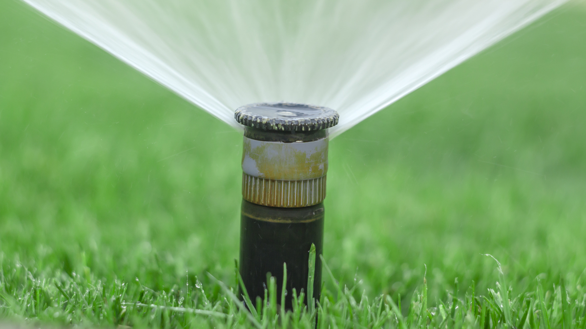 Photo of a lawn sprinkler