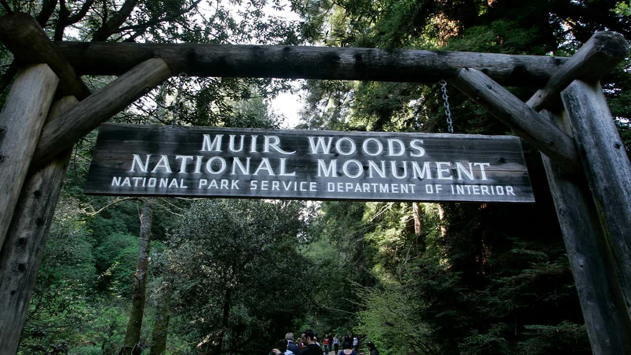 Photo of visitors walking along a pathway near the entrance to the Muir Woods National Monument in Marin County,