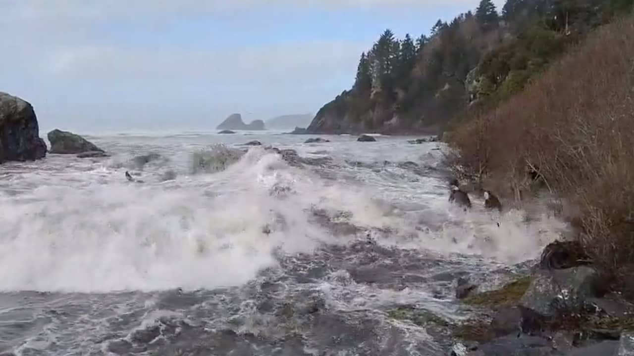 Photo of a sneaker wave
