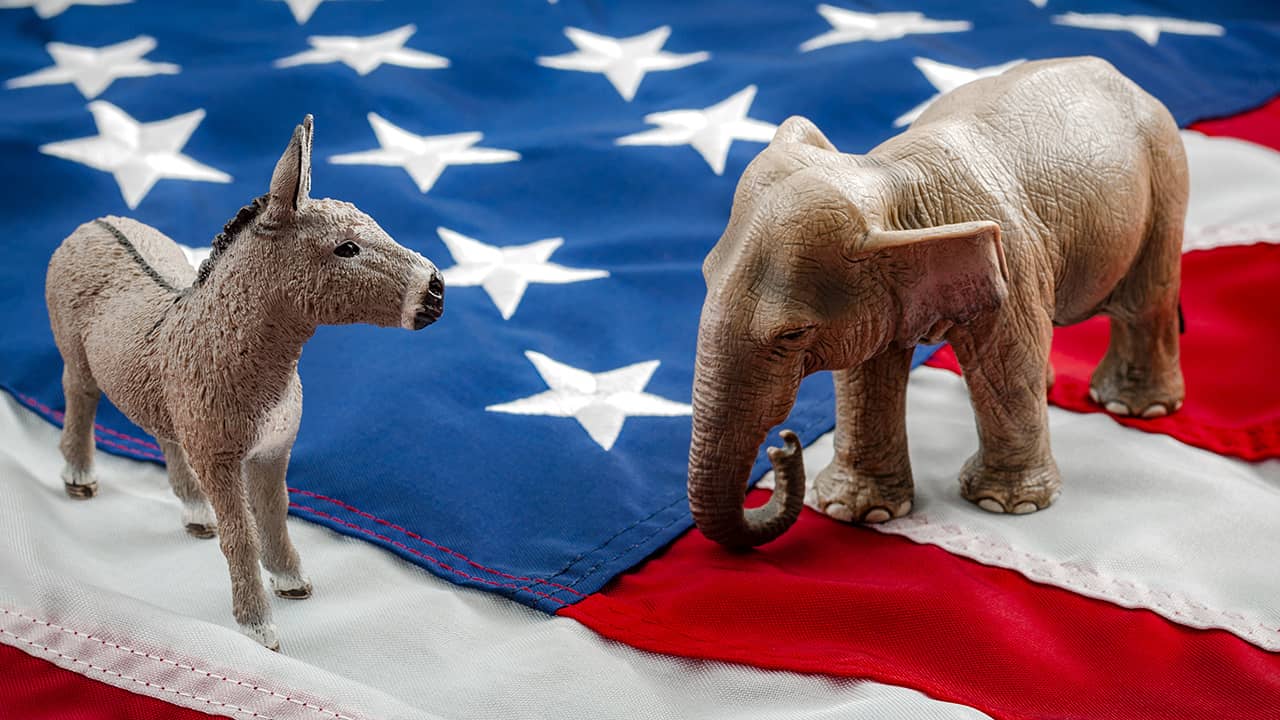 Photo of a donkey and an elephant on an American flag