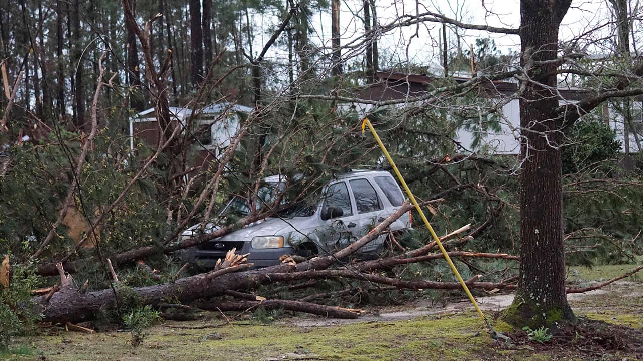 Photo of downed treed along Lee Road 11 in Alabama