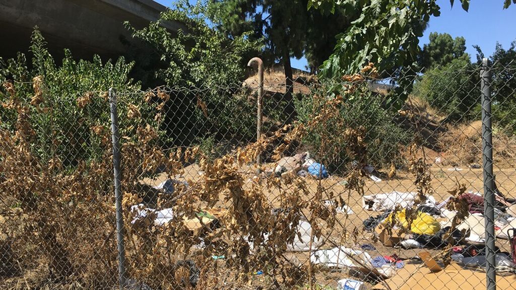 Photo of trash and weeds along a Fresno freeway