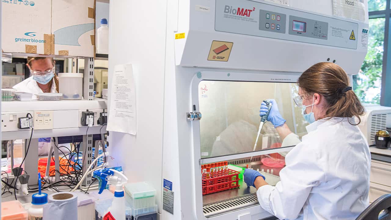 Image of sample from coronavirus vaccine trials being handled at the Oxford Vaccine Group laboratory in Oxford, England