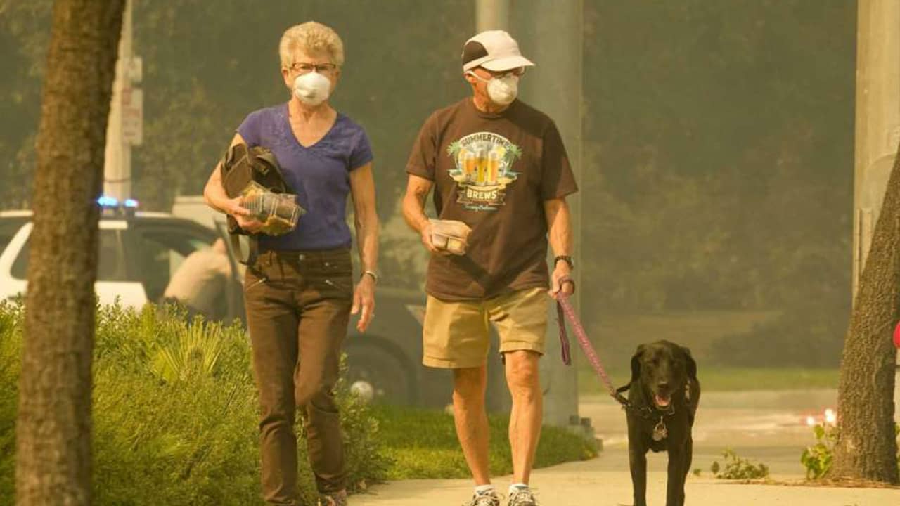 Photo of a couple and dog walking in smoke