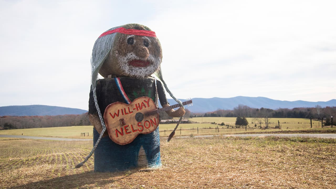Photo of 'Will-Hay Nelson' hay sculpture