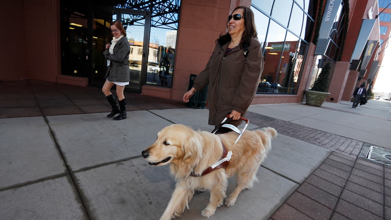 Photo of Yolanda Avila being led by her seeing eye dog 