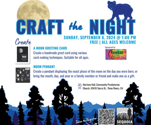 Craft the Night Flyer for the Dark Sky Festival