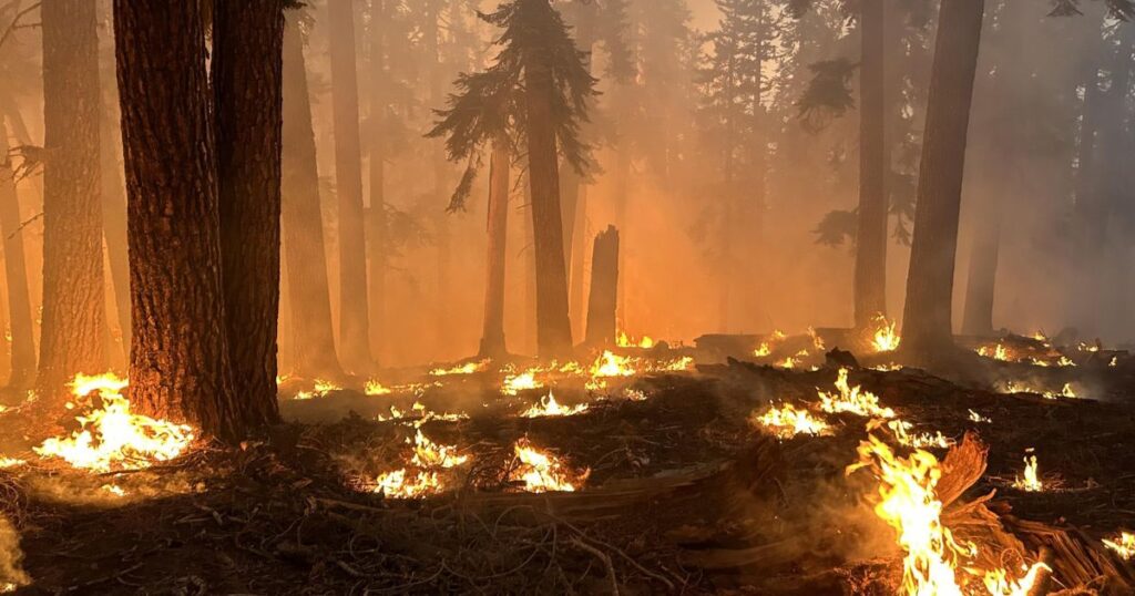 3 Firefighters Injured, New Evacuations Ordered as Coffee Pot Fire ...