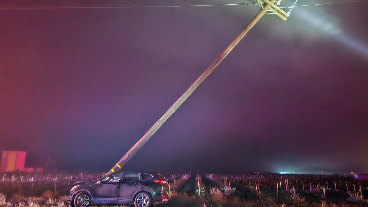 A wide angle of the DUI crash into the power pole. (CHP)