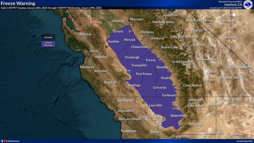Fresno County Freeze Warning in Effect. How Cold Could It Get? - GV Wire