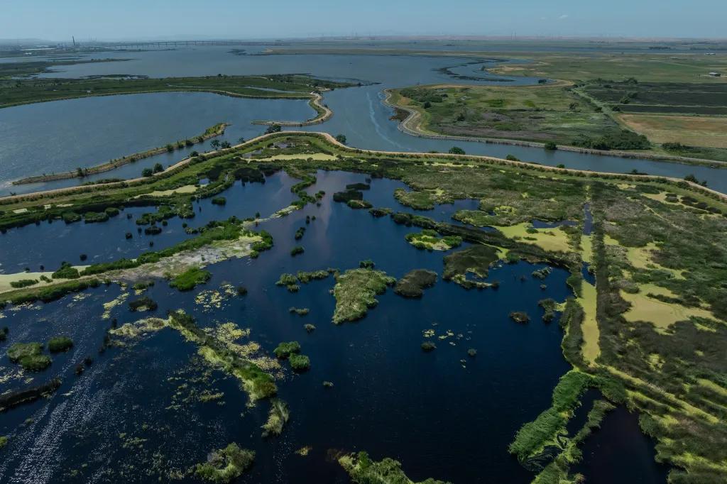 Threemile Slough CA's Delta