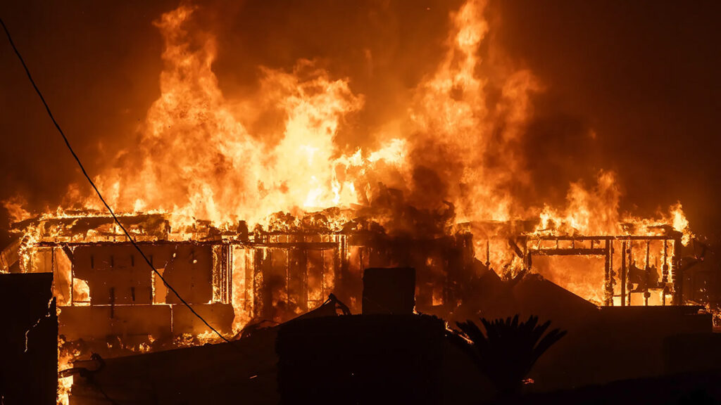 Image of a wildfire burning everything in its path