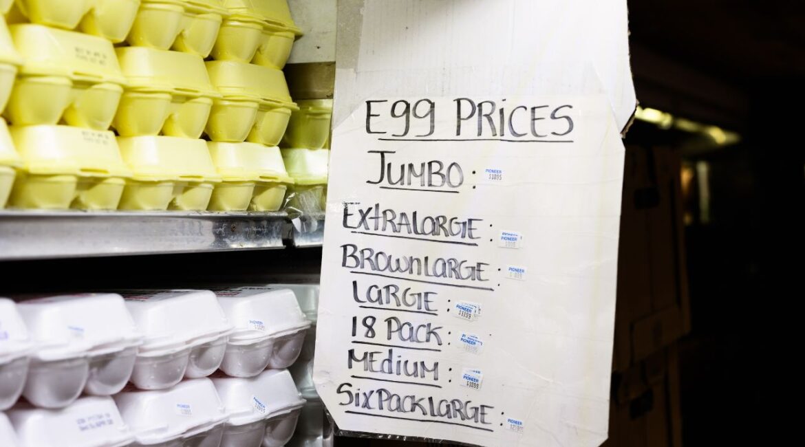 Egg prices listed at a grocery in the Bronx on Feb. 19, 2025. A bird flu outbreak affecting eggs hits differently in a city where prices and availability fluctuate from block to block. There is at least one winner in the current shortage: the country’s biggest egg producer, Cal-Maine Foods, whose quarterly revenues jumped 82% from the year prior. (Graham Dickie/The New York Times)