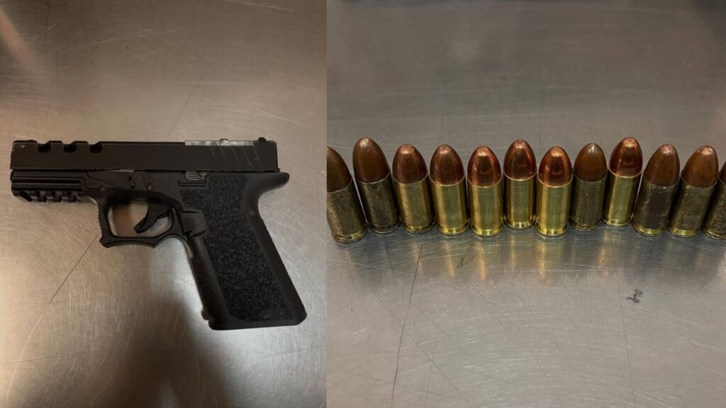 Identified: Kings County Traffic Stop Leads to Arrest of Wanted Felon ...