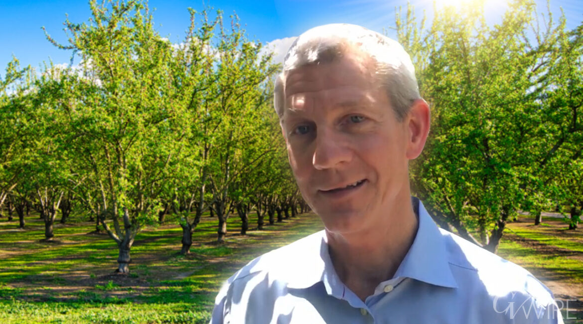 Image of Kings County almond grower John Vidovich in a blue shirt standing near an orchard