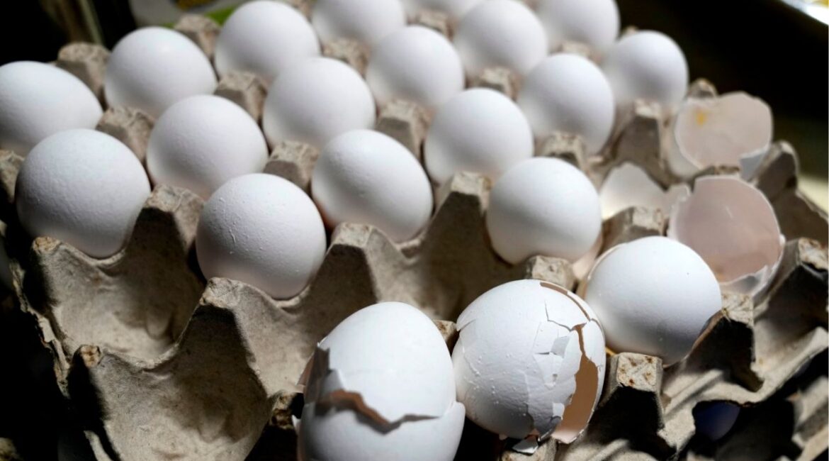 A carton of eggs sit on a counter in the kitchen inside of 5 Rabanitos restaurant in Chicago, Feb. 16, 2025. (AP File)