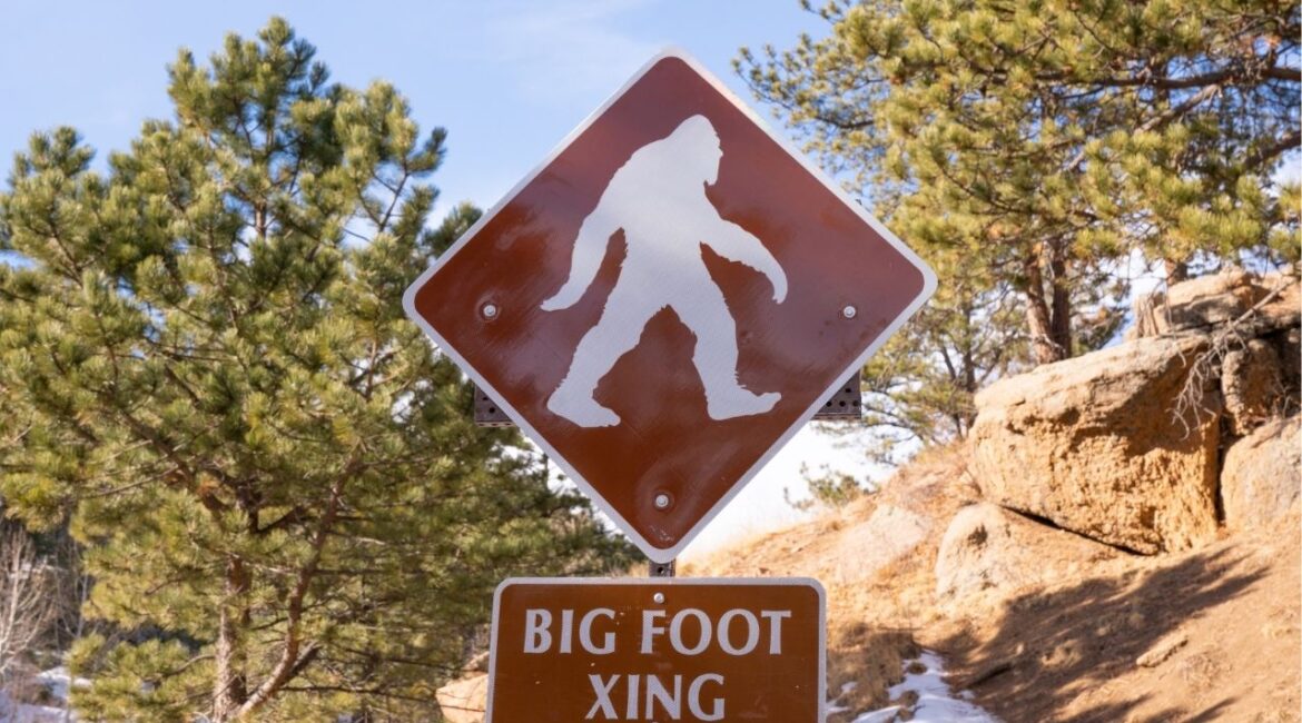 As California considers naming Bigfoot its official cryptid, states across the country are weighing quirky new symbols — from tortillas to T-bone steaks — in a blend of cultural pride and political levity. (Shutterstock)