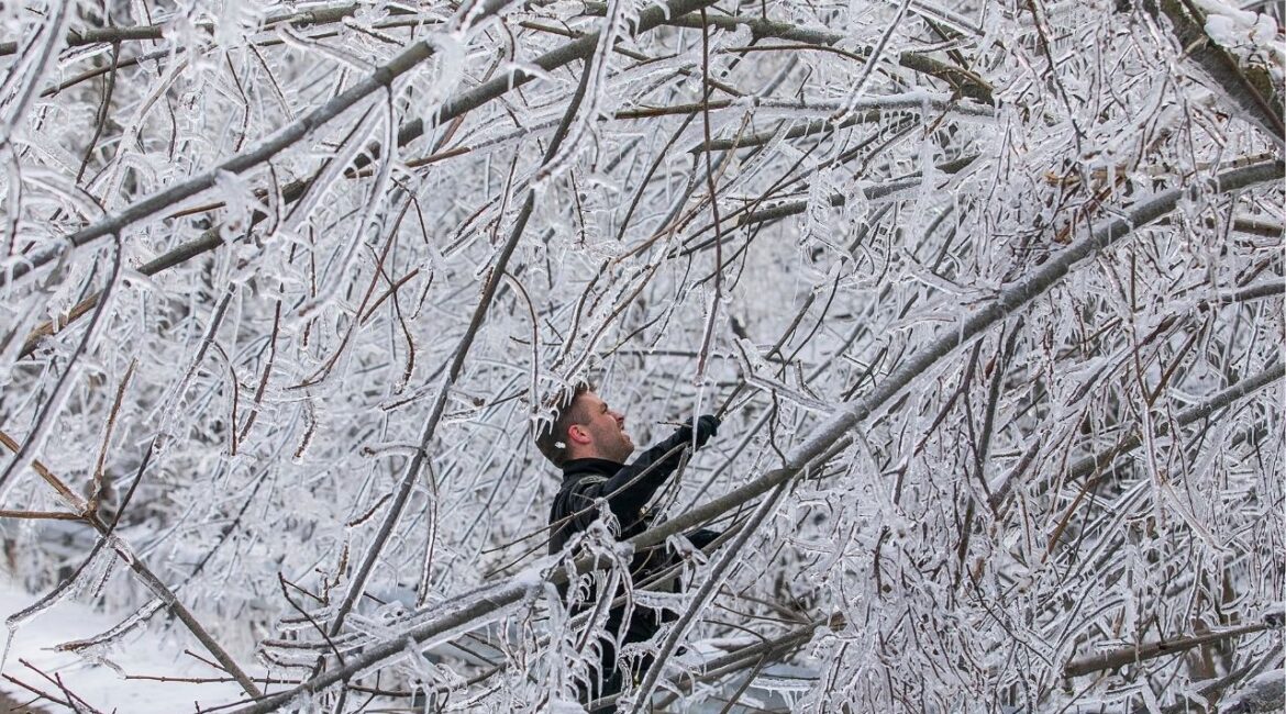 Sgt. Tyler Midyett of the Emmet County Sheriff's Department works along with Sgt. Mitch Wallin, not pictured, to clear fallen trees from along Eppler Road in Petoskey, Mich., Tuesday, April 1, 2025, as cleanup from the weekend's ice storm continues. (Jan-Michael Stump/Traverse City Record-Eagle via AP)