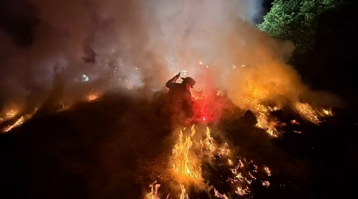 Porterville fire crews used favorable conditions during a Tuesday, May 20, 2025, grass fire along the Tule River to conduct a controlled burn, reducing future fire hazards before fully extinguishing the blaze. (Porterville FD)