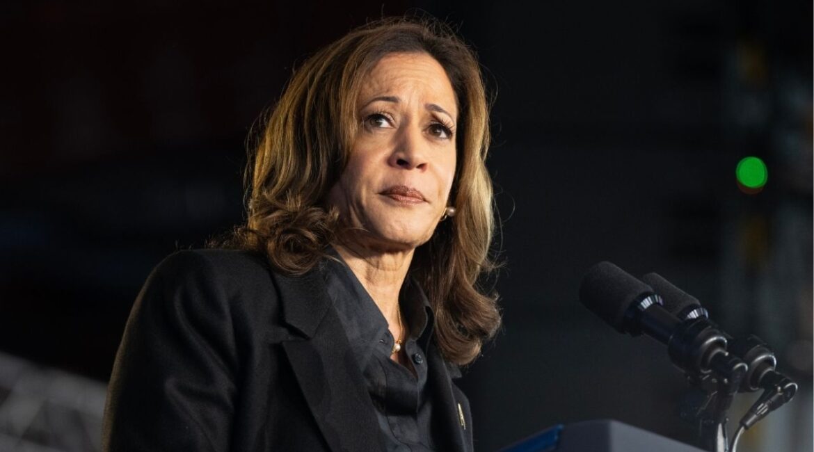 New data shows Kamala Harris lost the 2024 election not because of low turnout, but because millions of young, nonwhite, and irregular voters either stayed home or shifted their support to Donald Trump. (Shutterstock)