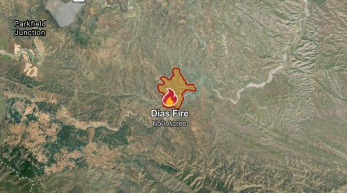 The Dias Fire in Fresno County has grown to 650 acres with no containment as of late Wednesday June 25, 2025, morning. (CalFire)