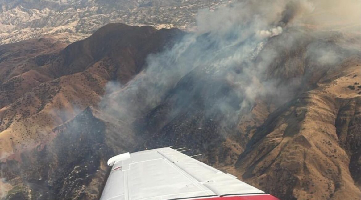 The Firestone Incident near Highway 198 and Firestone Avenue in Coalinga has grown to 50 acres with a critical rate of spread, prompting evacuation orders for Zone P19, warnings for multiple surrounding zones, and a road closure, according to CalFire. (X/CalFire)