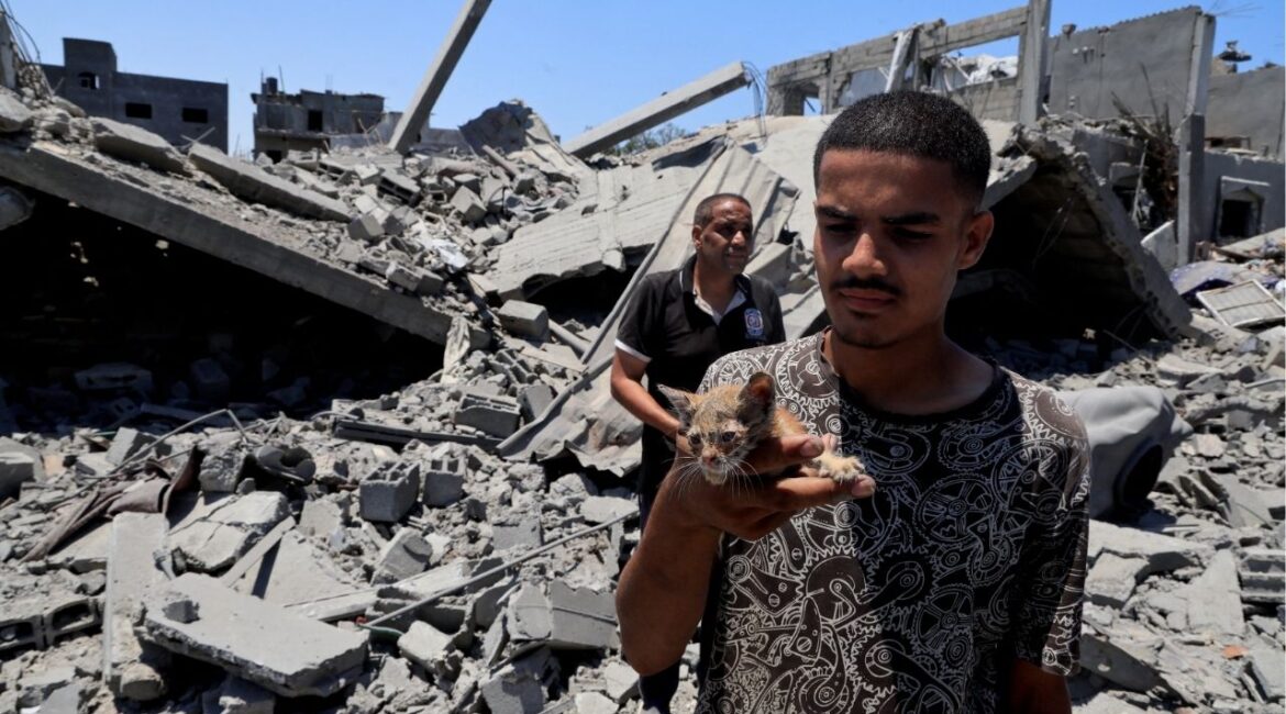 A Palestinian holds a cat as he inspects houses destroyed during an Israeli military operation, in Deir al-Balah, central Gaza Strip, July 23, 2025. (Reuters File)
