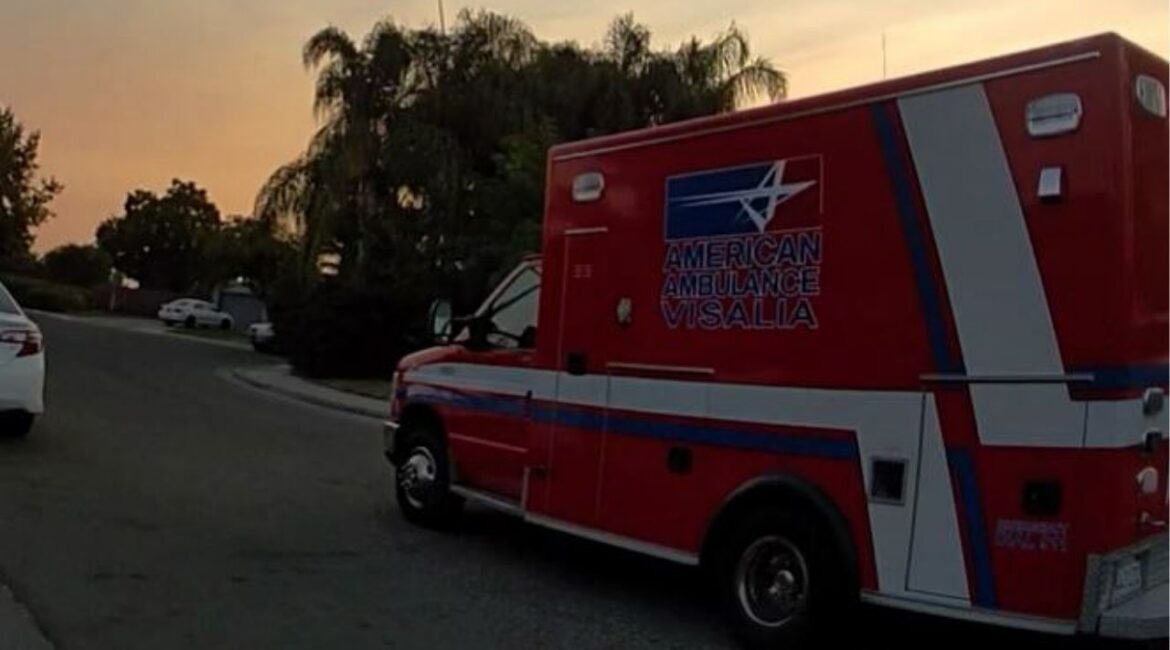 A Visalia man was arrested Sunday after allegedly hitting another man in the head multiple times with a rubber mallet during an argument, police said. (Visalia PD)