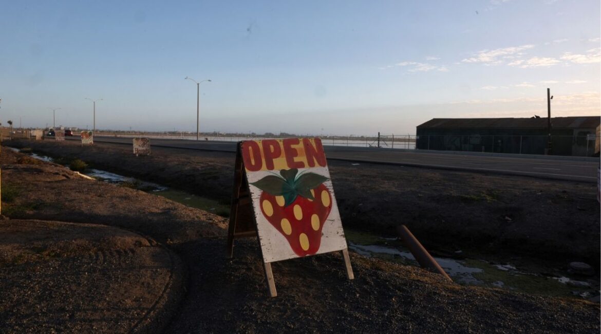 FILE PHOTO: A sign advertising strawberries stands on a roadside, near fields in Oxnard, California, U.S., June 15, 2025. REUTERS/Pilar Olivares/File Photo