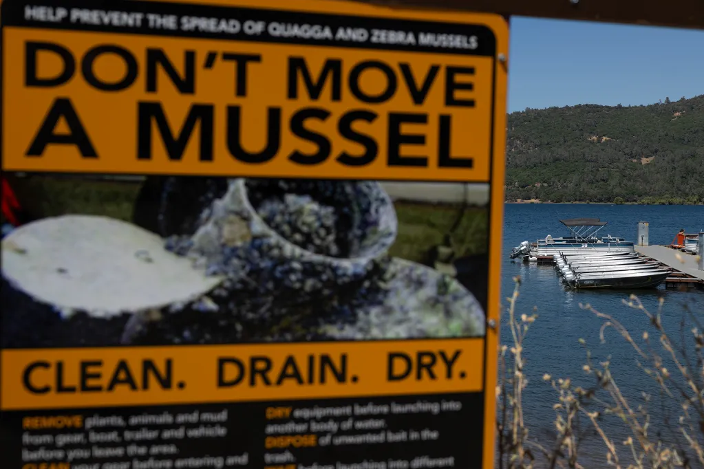 Invasive Species Warning Sign California