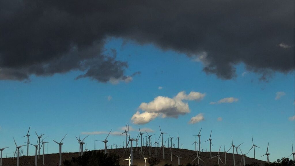 Windmills line a hillside in Palm Springs, California, U.S., November 29, 2019. (Reuters File)