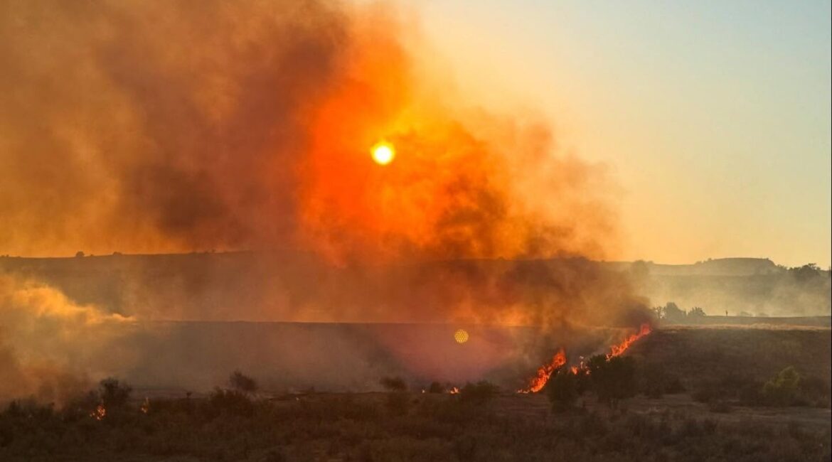 A vehicle fire spread to grass at Lost Lake Recreation Area on Tuesday, August 12, 2025, burning 31 acres before firefighters contained it. (CalFire)