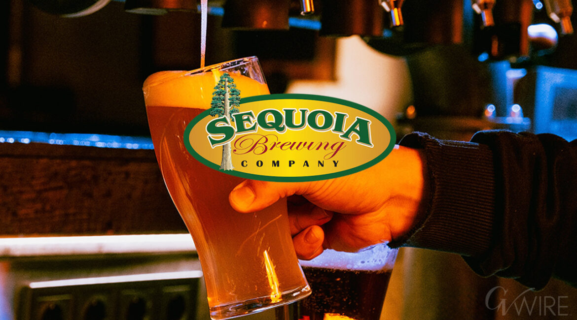 Sequoia Brewing Co beer pour