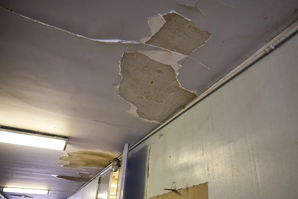 Peeling Paint, Water Stains in Building at Sacramento State